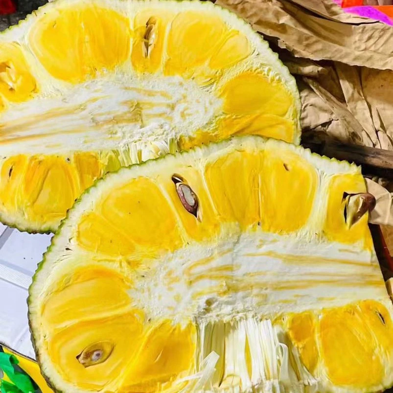 【黄肉菠萝蜜整颗】QQ弹弹