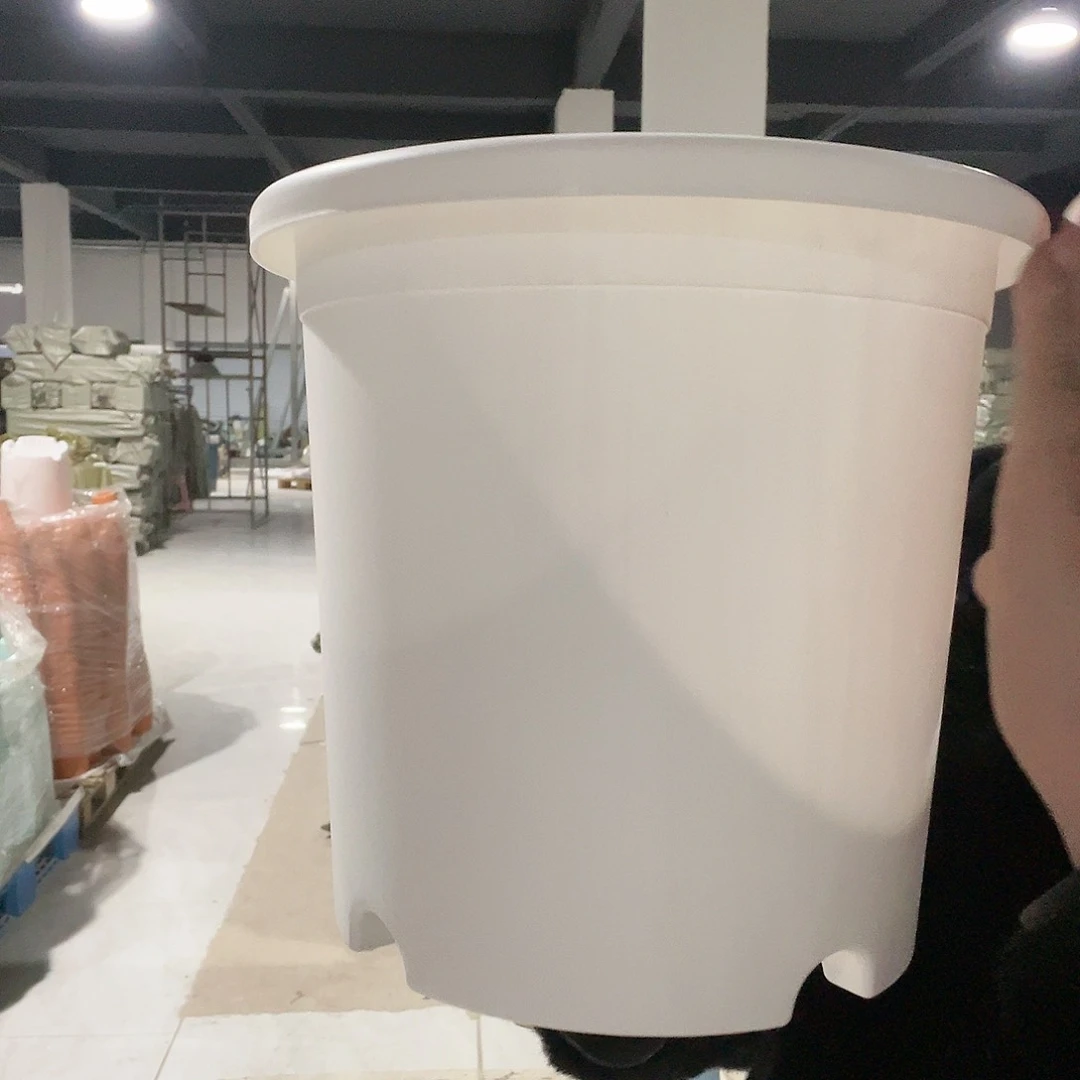 树脂圆5号白3个无托