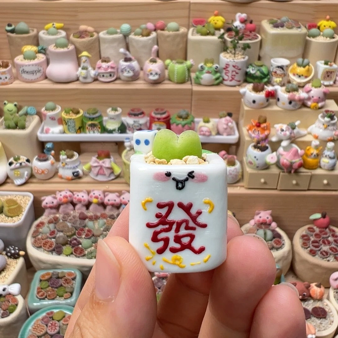 多肉植物42号拇指盆