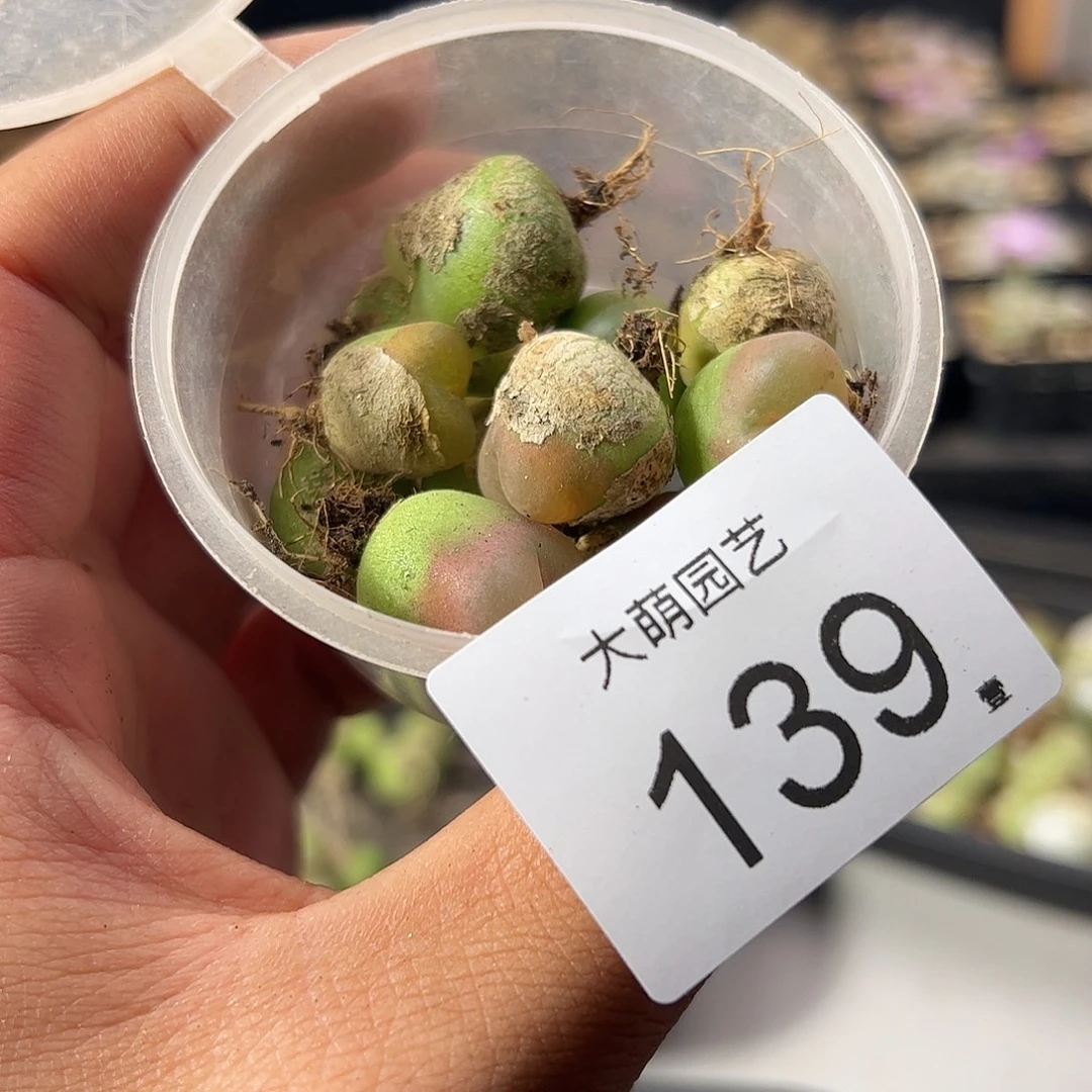 一物一拍默认无售后。   139