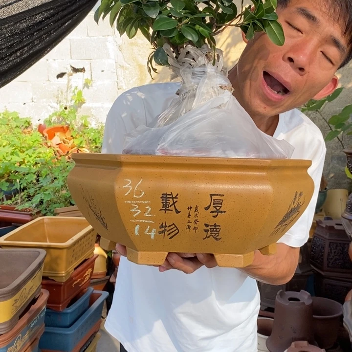 花盆紫砂紫砂特价包邮