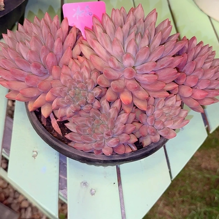 玻璃球玻璃球玻璃球