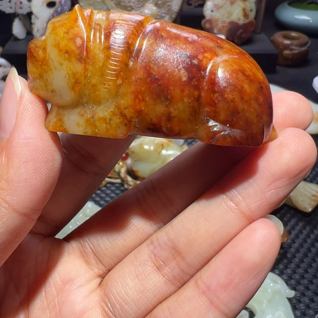 缸一物一图 所见所得