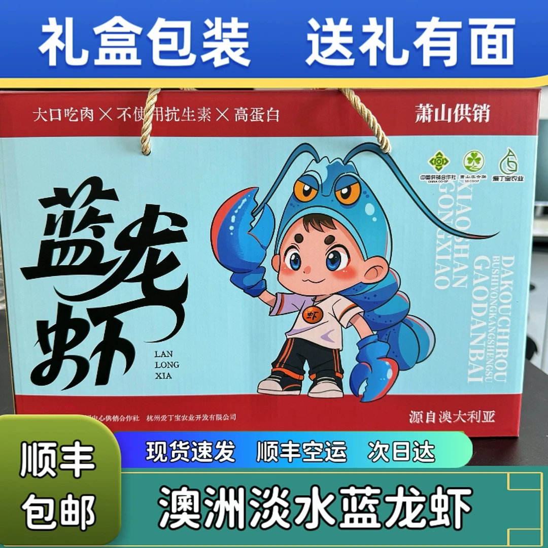 【澳洲蓝龙虾礼盒】中大规3斤鲜活淡水蓝龙虾！顺丰包邮！次日达