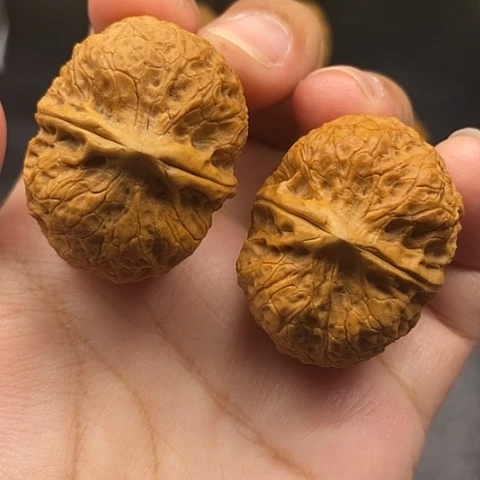 文玩核桃把件38尺玄武元宝