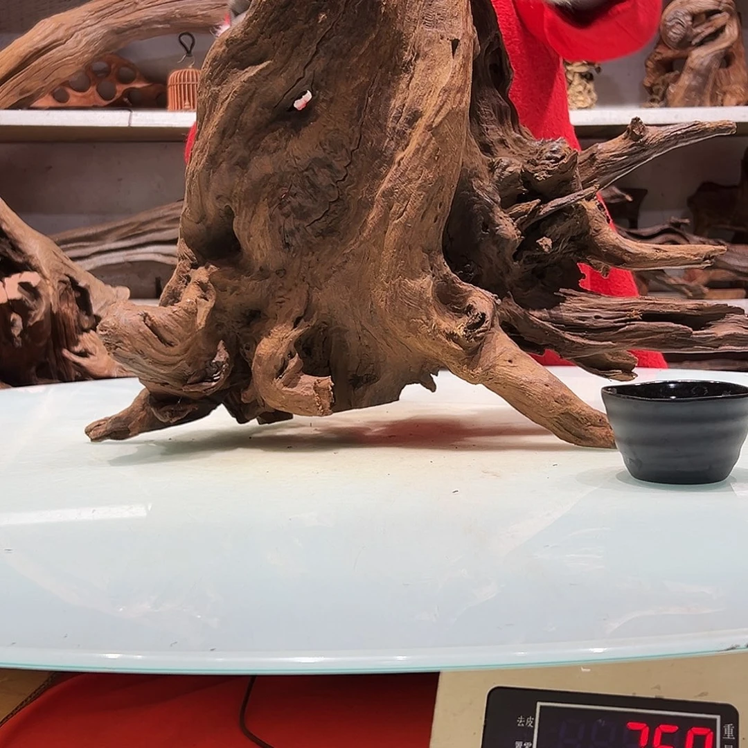 紫砂紫柚沉木7*7紫柚沉木1681