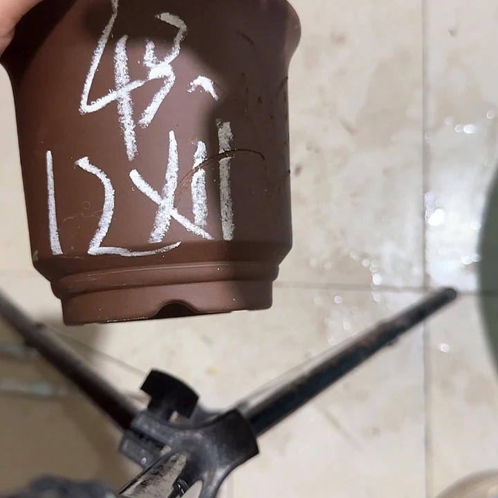 尚***帅紫砂花盆破损包赔
