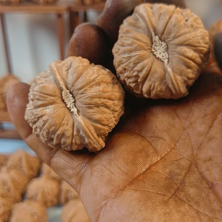 z***z无花朵南瓜核桃无花