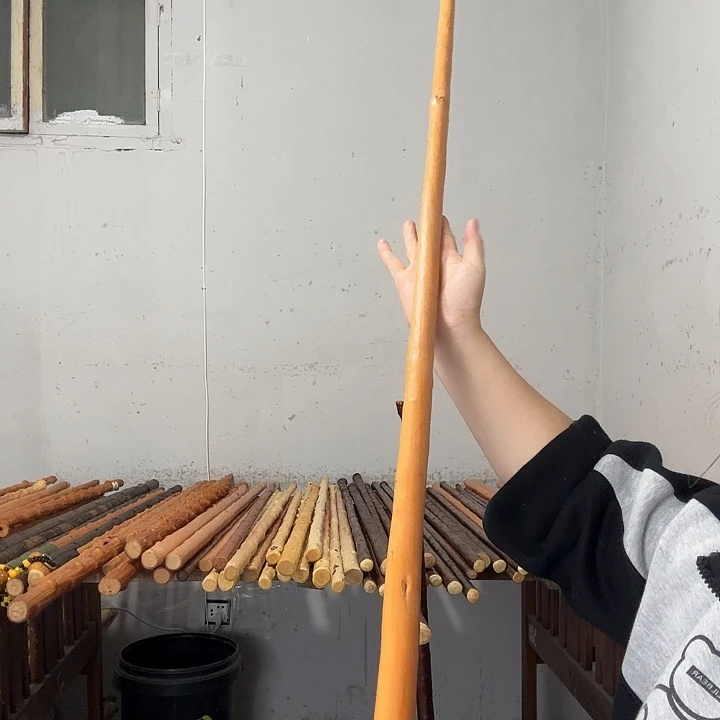 草***三秦岭石山红荀子鞭杆