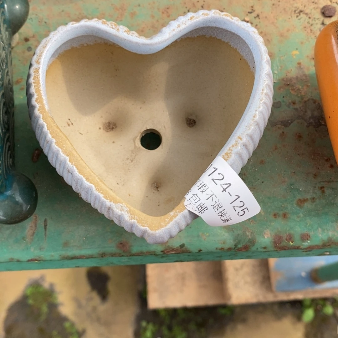 125号多肉盆口径8小可爱