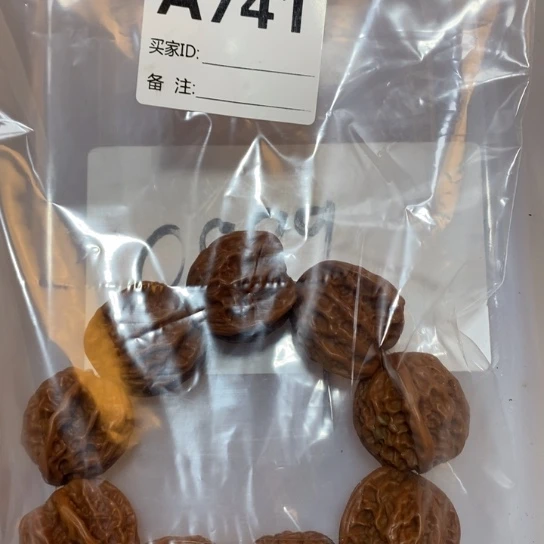 香榧木大核桃一条741