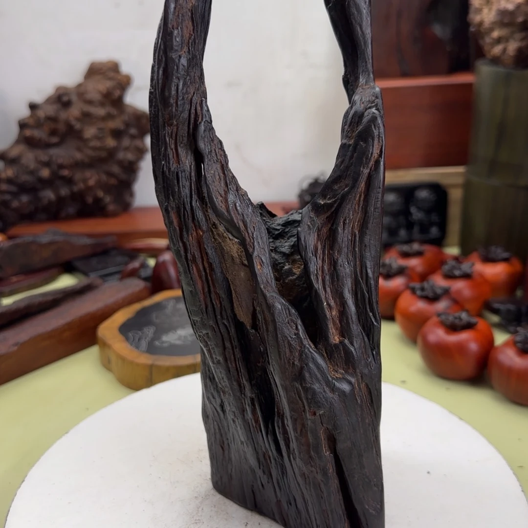 大果紫檀（缅甸花梨）野*