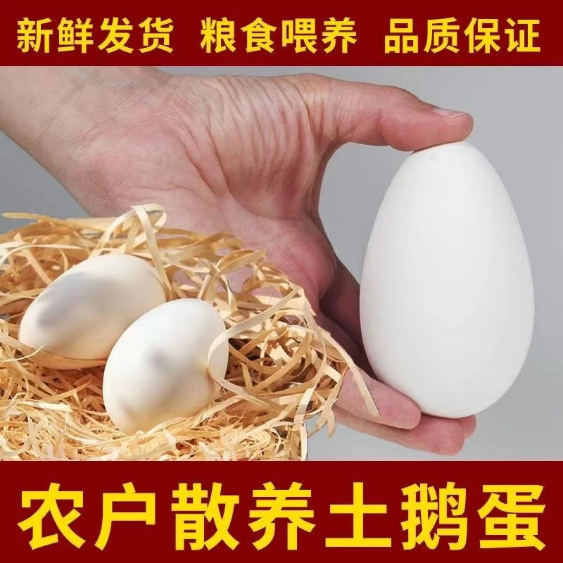 【 顺丰包邮】正宗农家散养土鹅蛋新鲜大鹅蛋安心蛋20枚 破损包赔zc