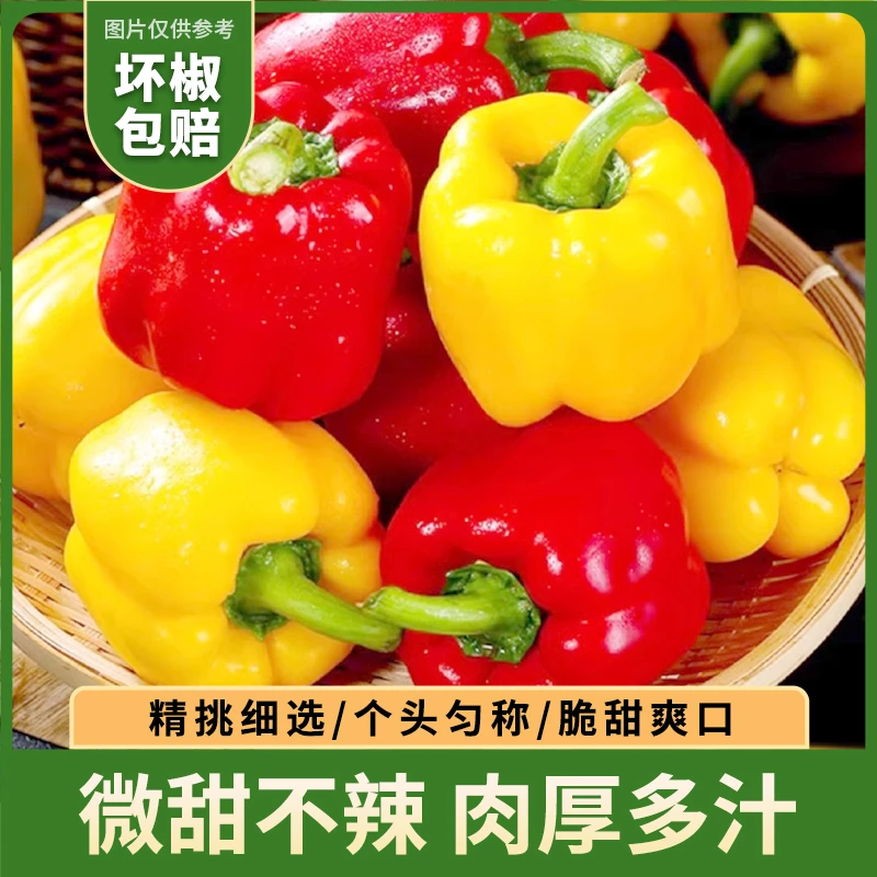 【京东快递】山东寿光现摘3斤5斤装新鲜五彩椒水果椒圆椒生吃不辣