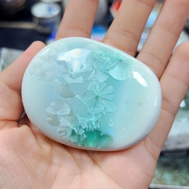 瓷本店全场买满20包邮。