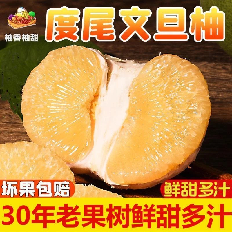 福建仙游度尾文旦柚清甜多汁孕妇当季新鲜水果现摘现发无孔蜜柚子