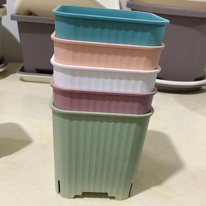 方口14混色5个带托