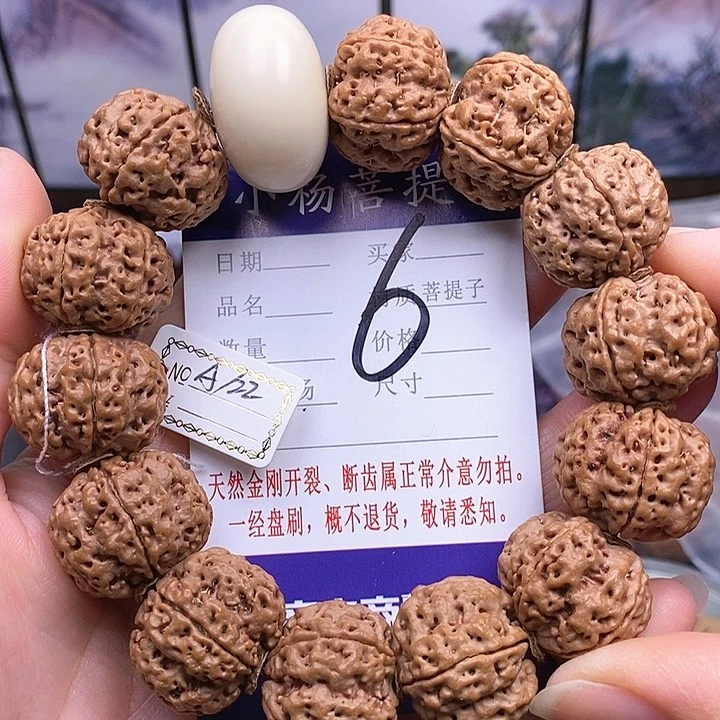 手串金刚菩提22梅花