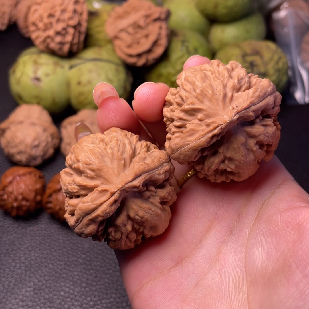 文玩核桃把件霸王龙