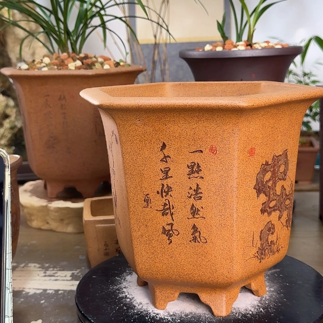 龙***妈紫砂花盆紫砂花盆