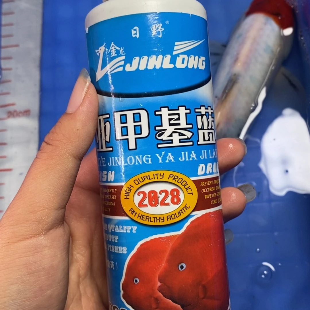 锦鲤亚甲基蓝 锦鲤