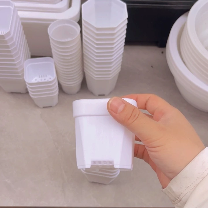 白方口6高6一组30个