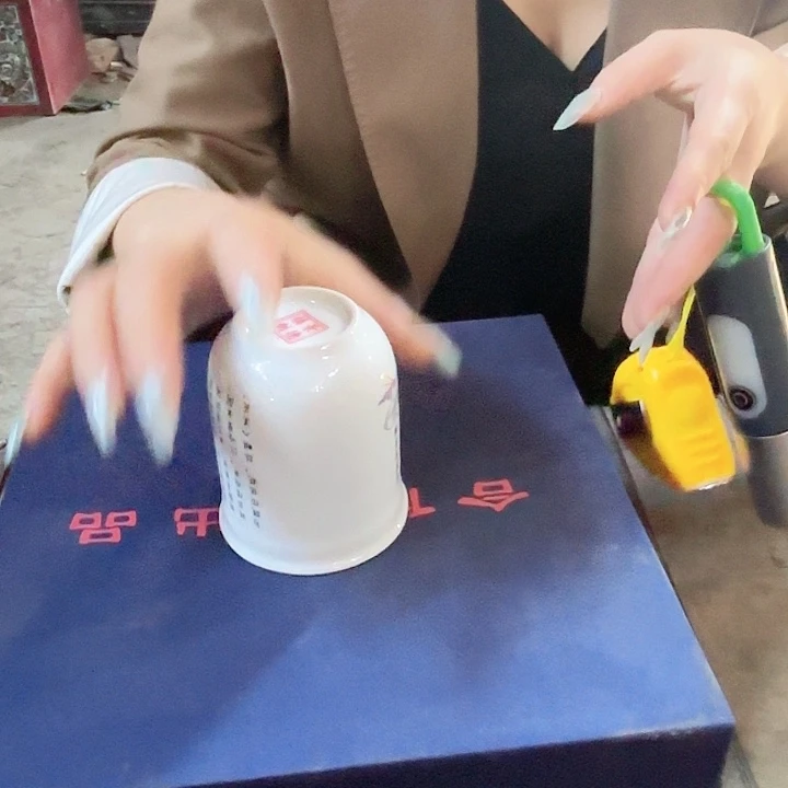 其他陶景德镇高温陶瓷惊喜222