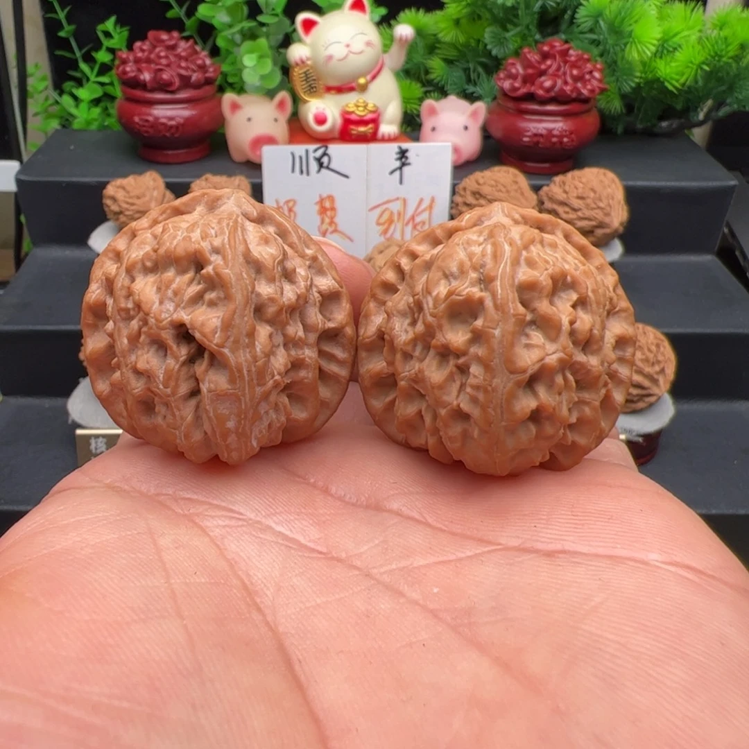 文玩核桃把件正版延庆白狮子，尺寸38.5