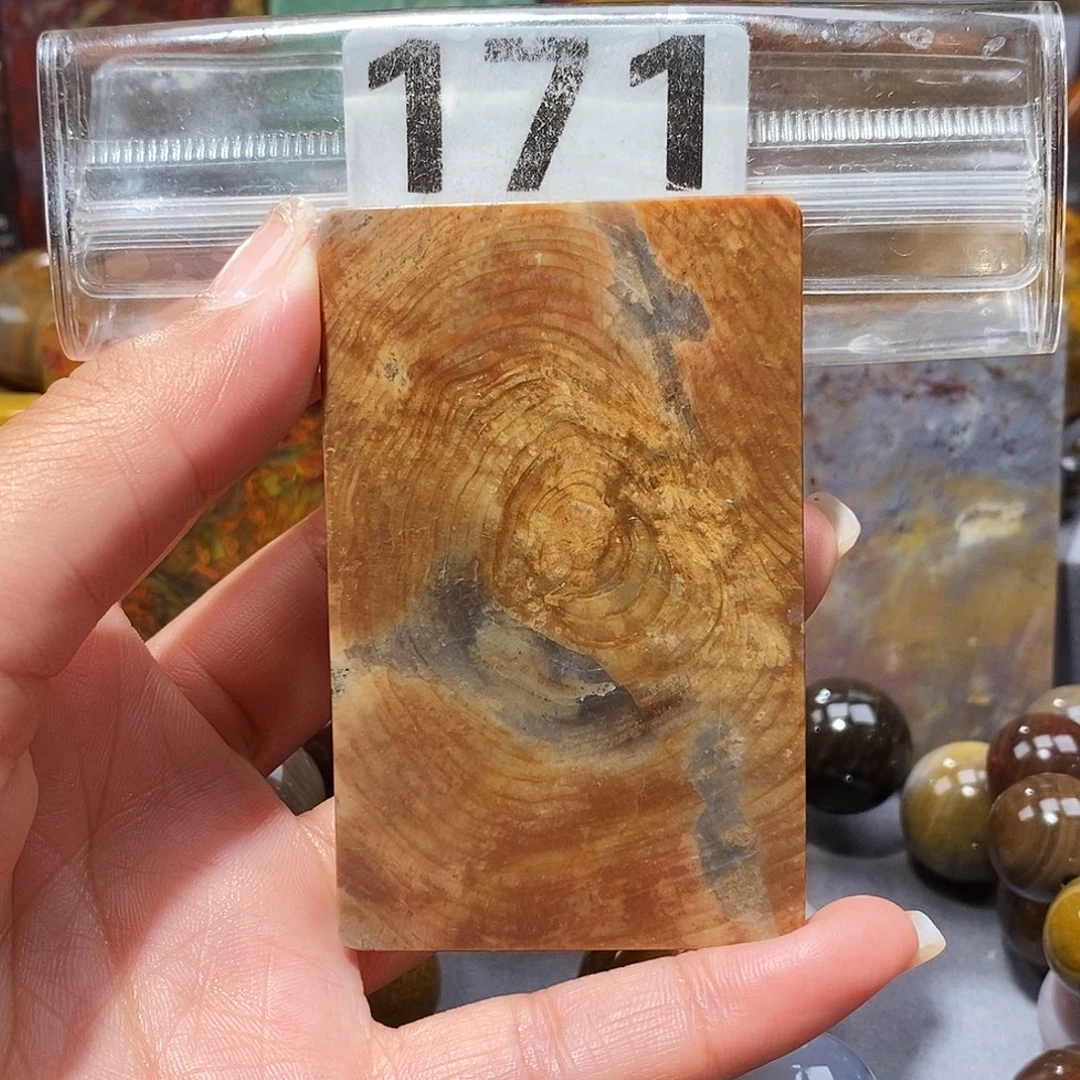 未镶嵌天然北票硅化玉吊坠硅化玉