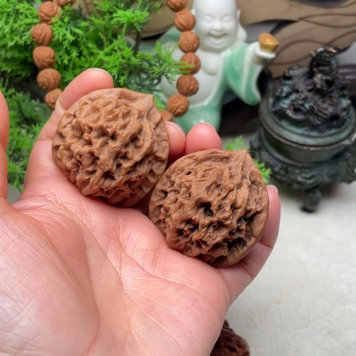 秦岭秦王大花40尺寸