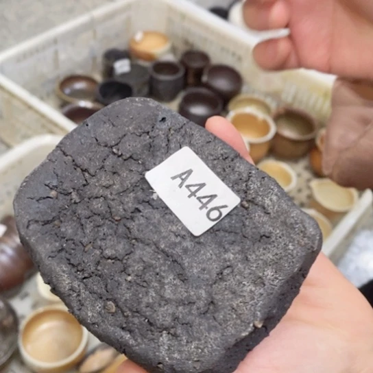 福利福利活动等活动中的