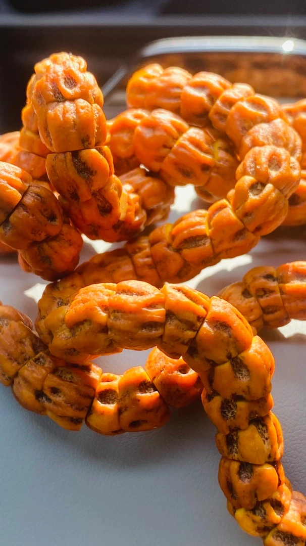 苍络，热振精工深坑尸陀林几何麻花大肠柏香籽