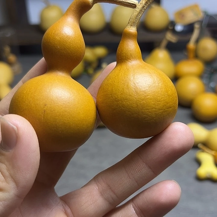 玲***姐小葫芦一物一拍两个