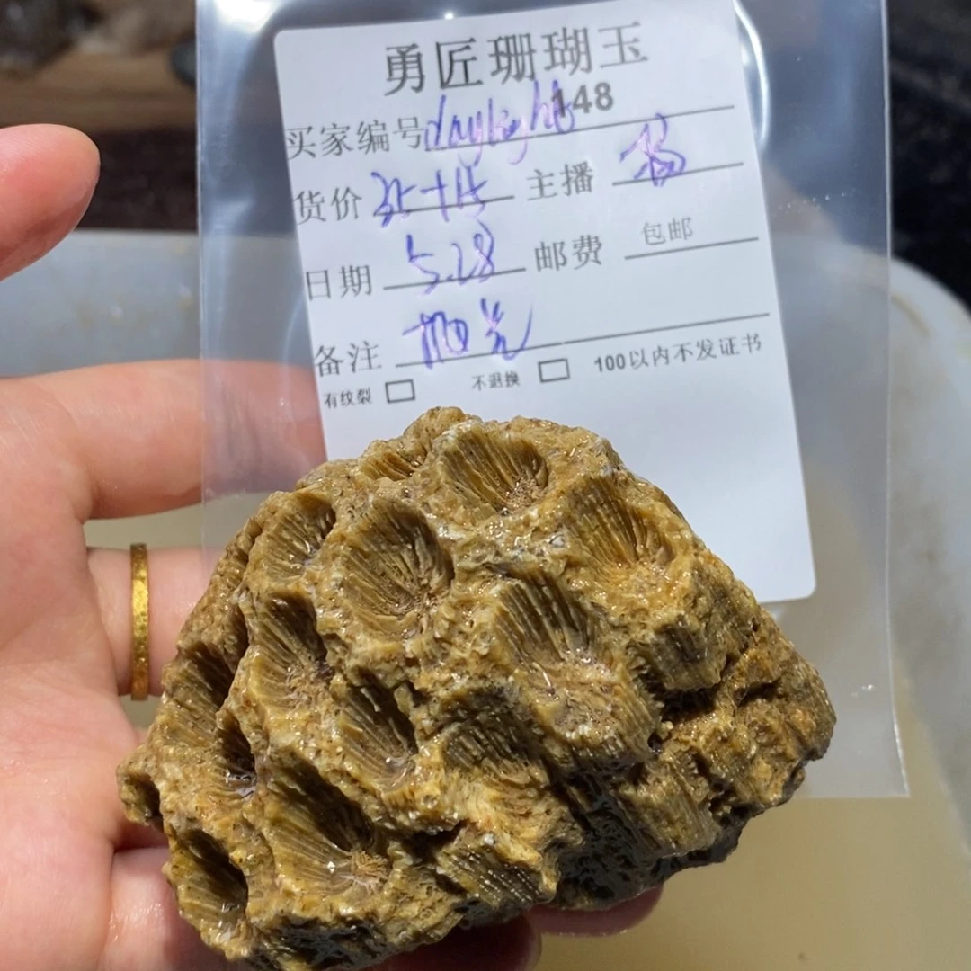 【闪购商品】硅化玉颈饰未镶嵌d****t