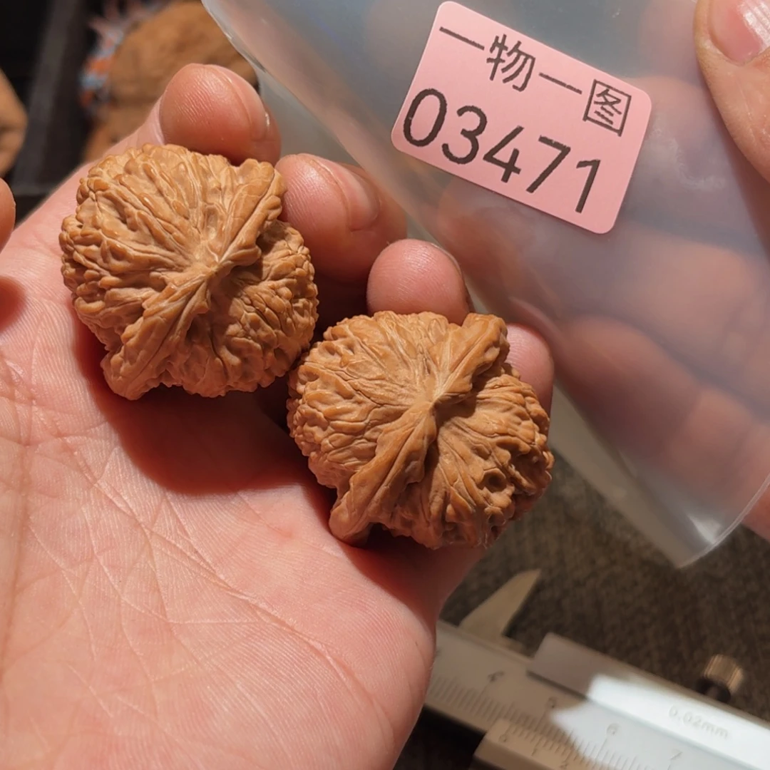 文玩核桃把件白狮子