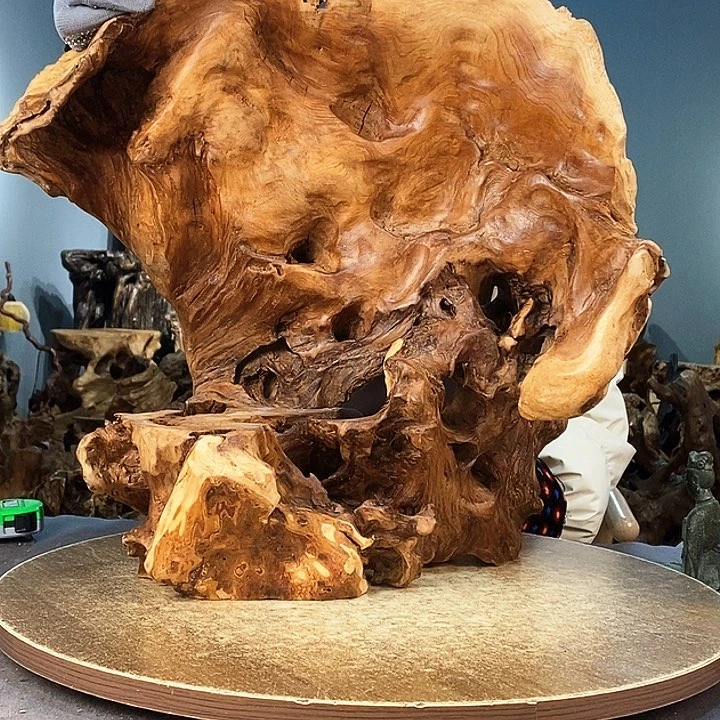 茶盏q**니814。红杉根随行根艺