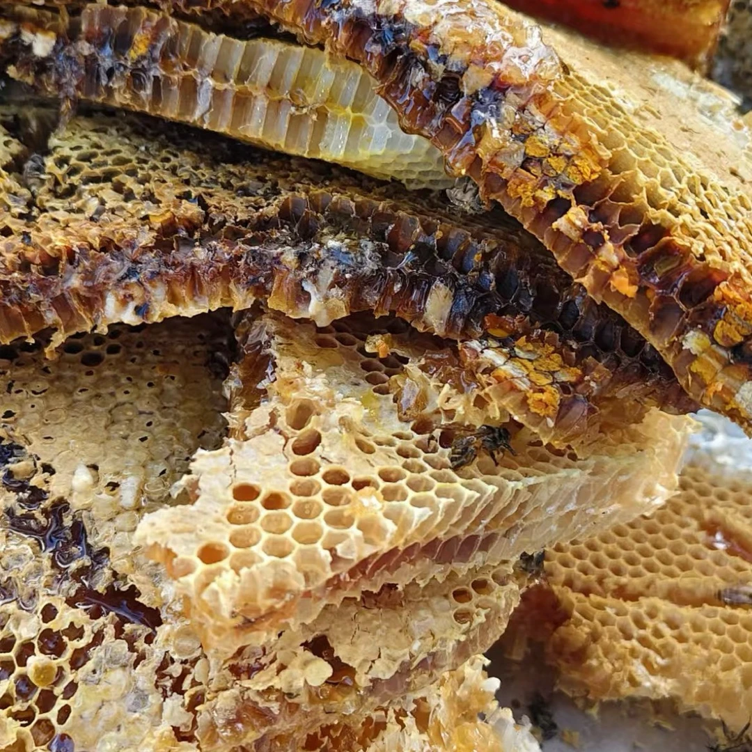 【一村一品】土蜂蜂蜜手工收割蜂蜜