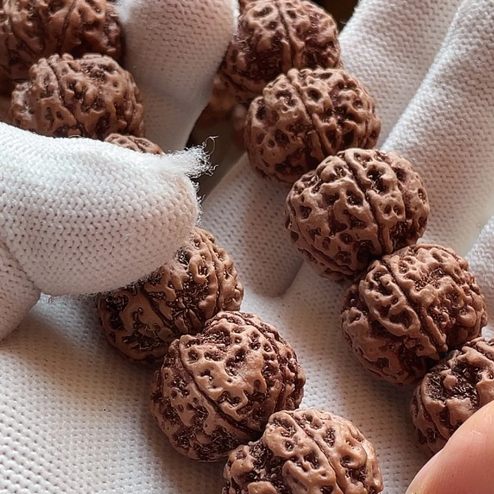 ～***者金刚菩提手串古龙梅花21