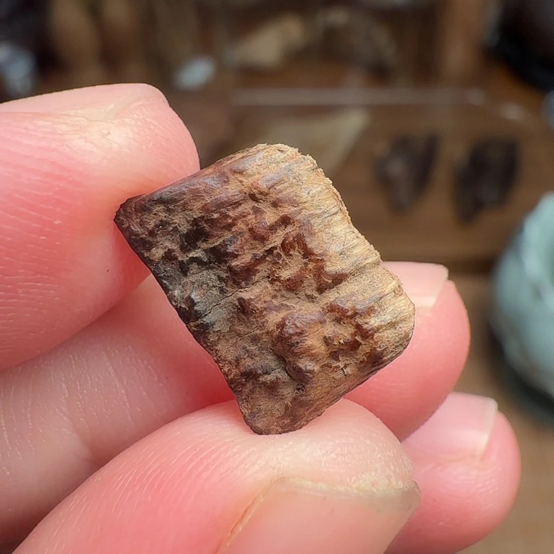 沉香沉水老海南0.3g