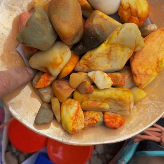 枯***轻杂色豆（科檀/科特迪瓦檀木）