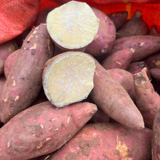 红薯  小红薯 农家红薯表皮刮花不影响食用（不支持七天无理由）