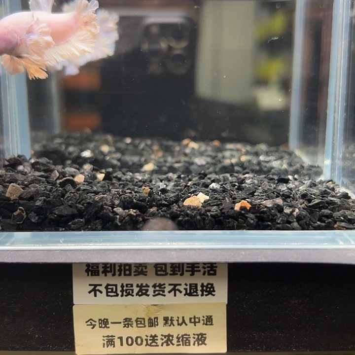 斗鱼竞拍跑单拉黑117