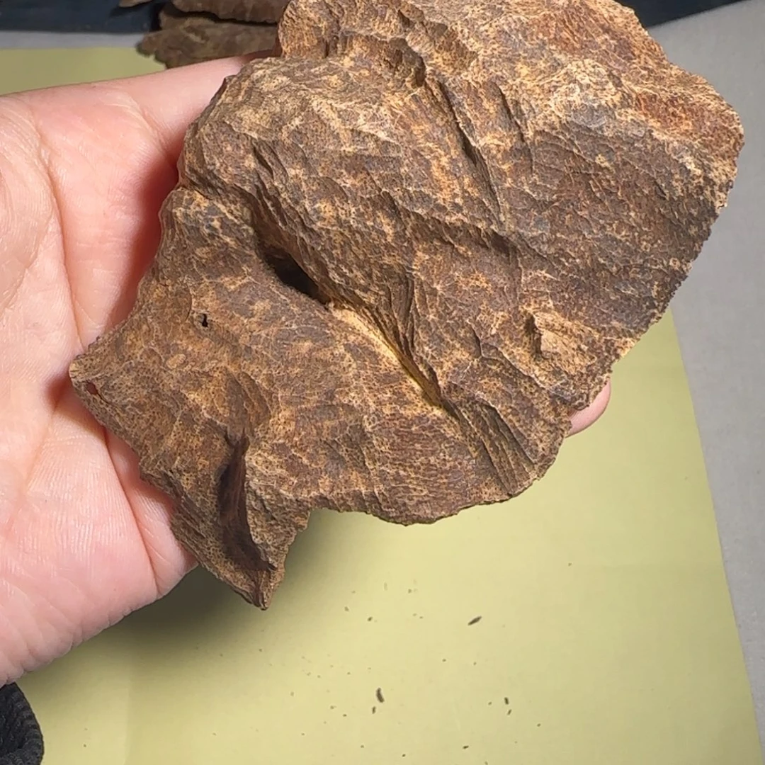 沉香碎屑沉香海南沉香老顶17.5克