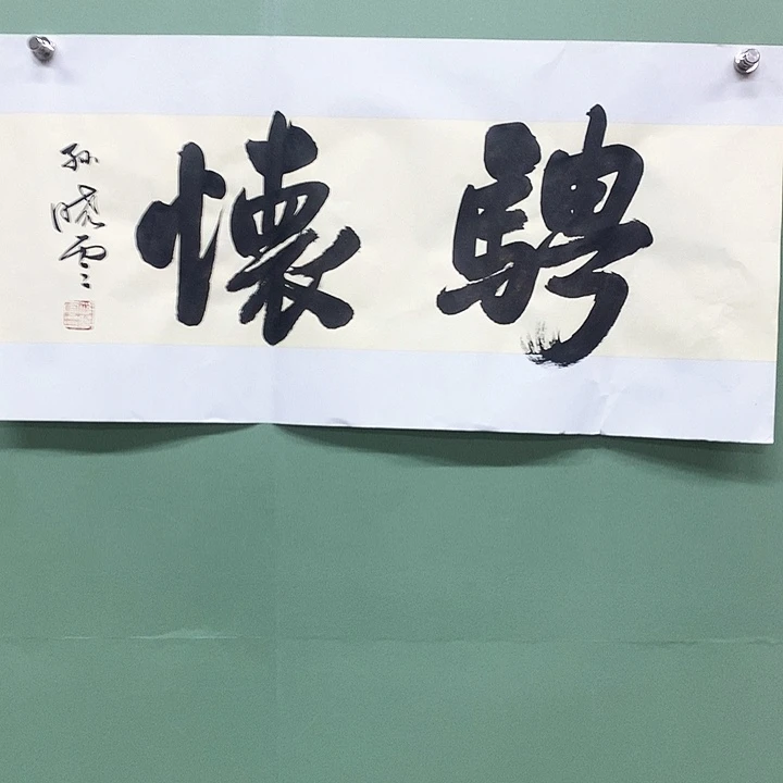 竖款精品书法二平尺