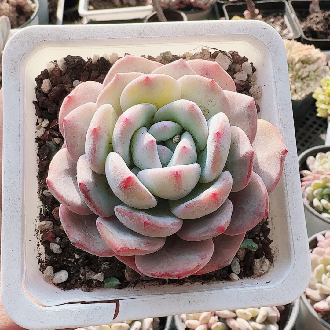 满20包邮零下拍保温箱