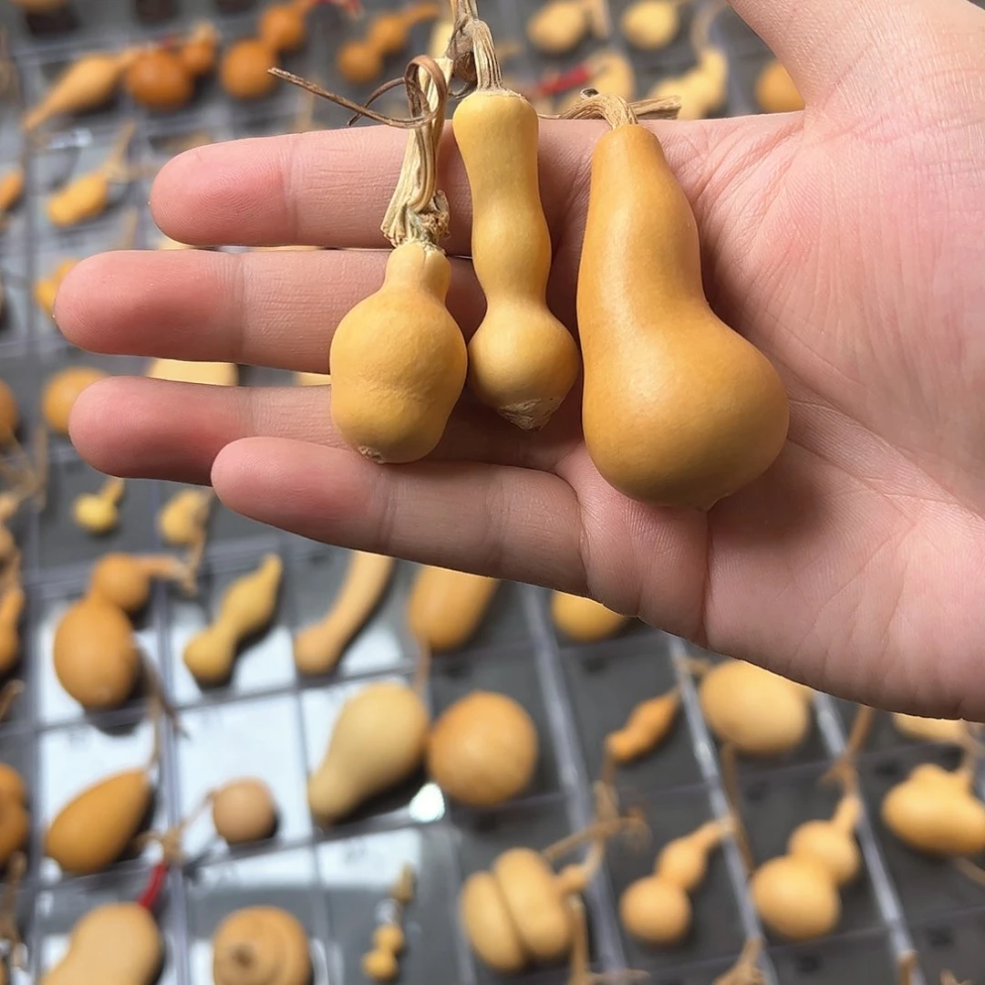 *️**葫芦娃的时候我也是醉了