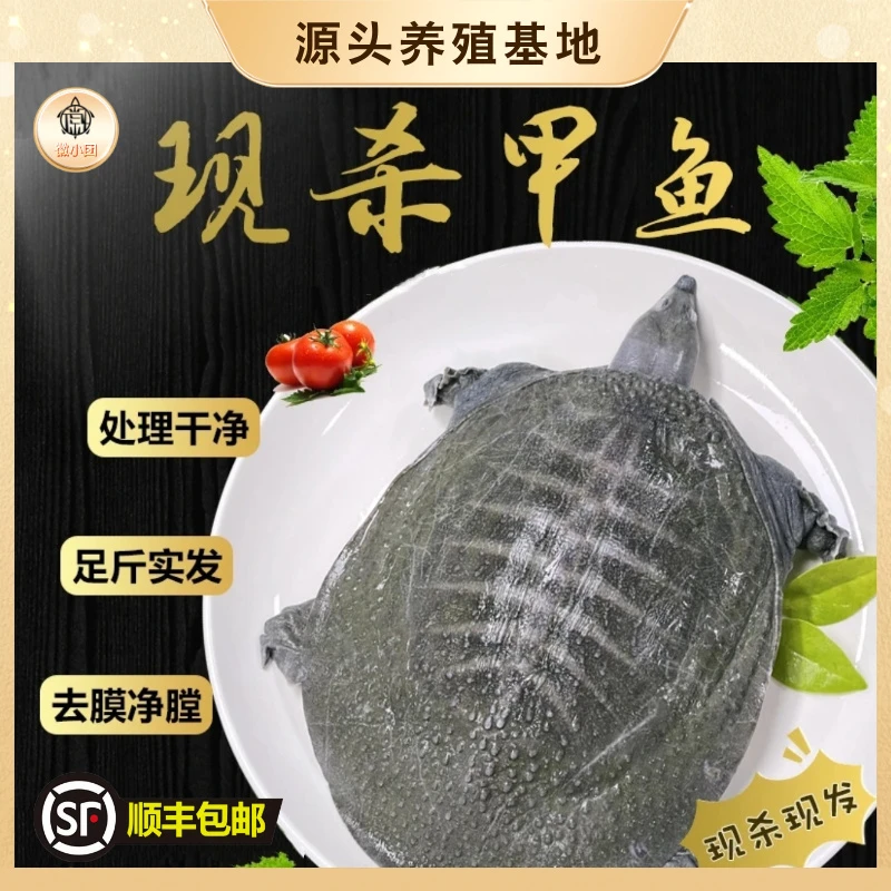 两只装【宰杀前3斤净重2斤】新鲜甲鱼去皮放养生态王八鳖肉真空速冻