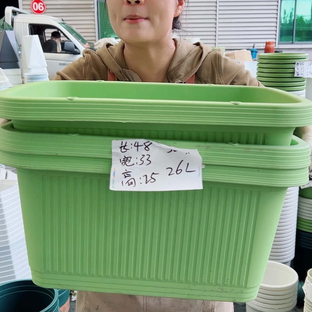 菜盆500#果绿色3个无托