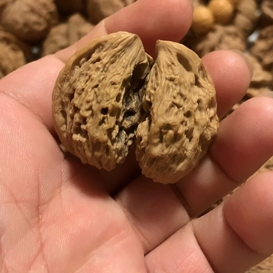 逸*斋南疆天然连体一个