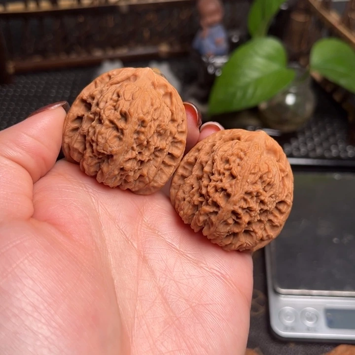 40全品无修南疆石核桃